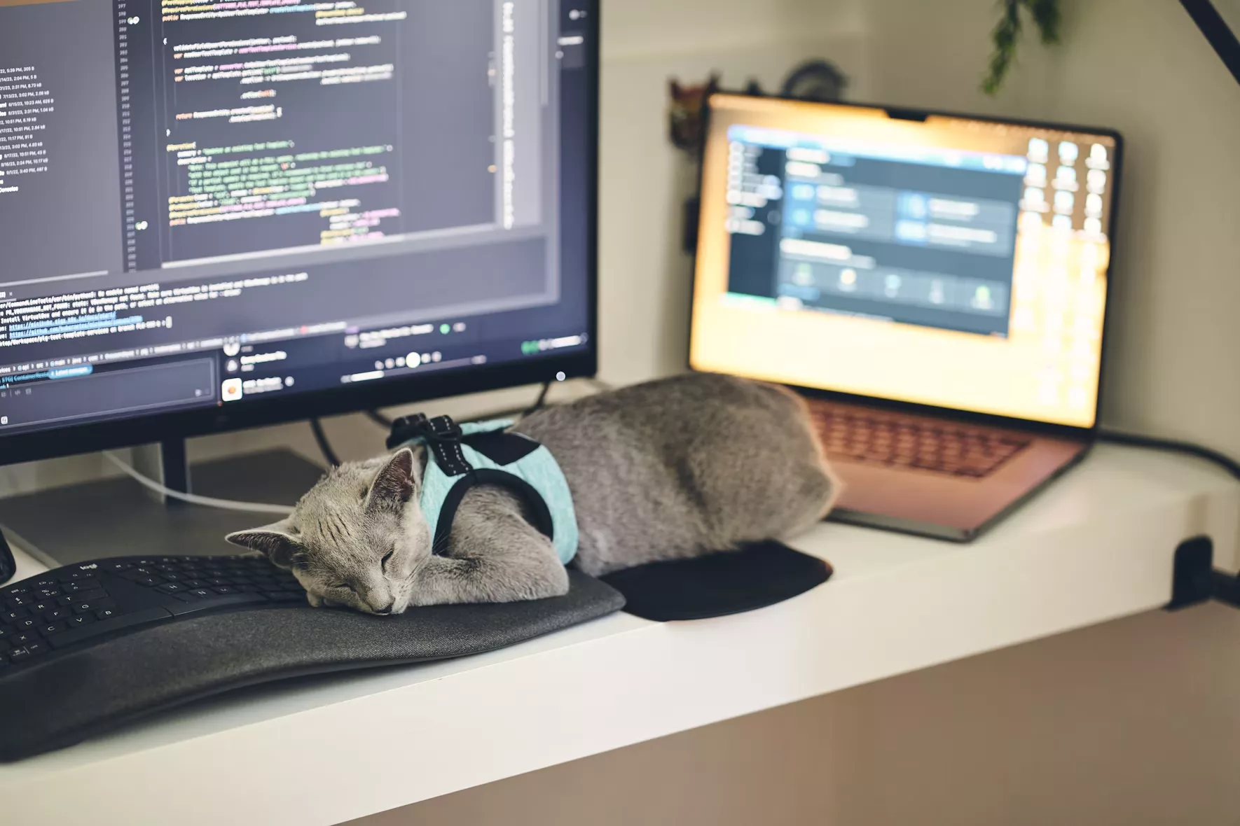 Vibe Coding - unsplash