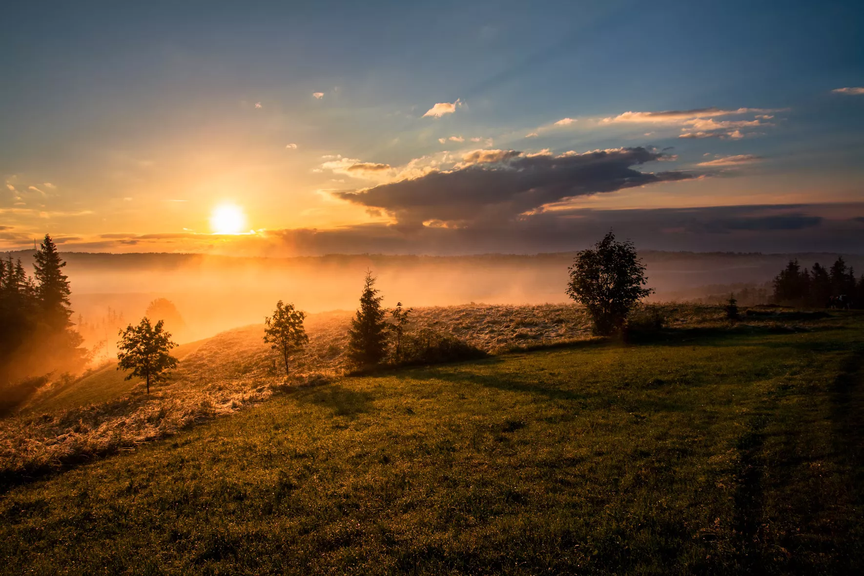 Morning - unsplash